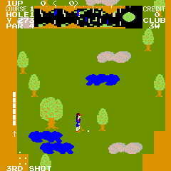 Cassette: Pro Golf