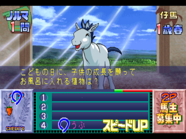 Derby Quiz My Dream Horse (MDH1-VER.A)