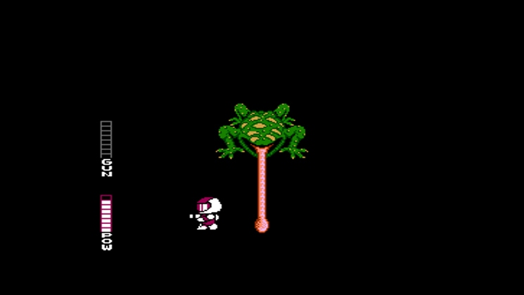 Blaster Master Boy