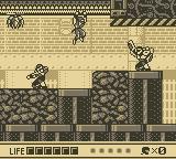 Ninja Gaiden Shadow