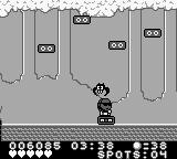 Spot - The Cool Adventure