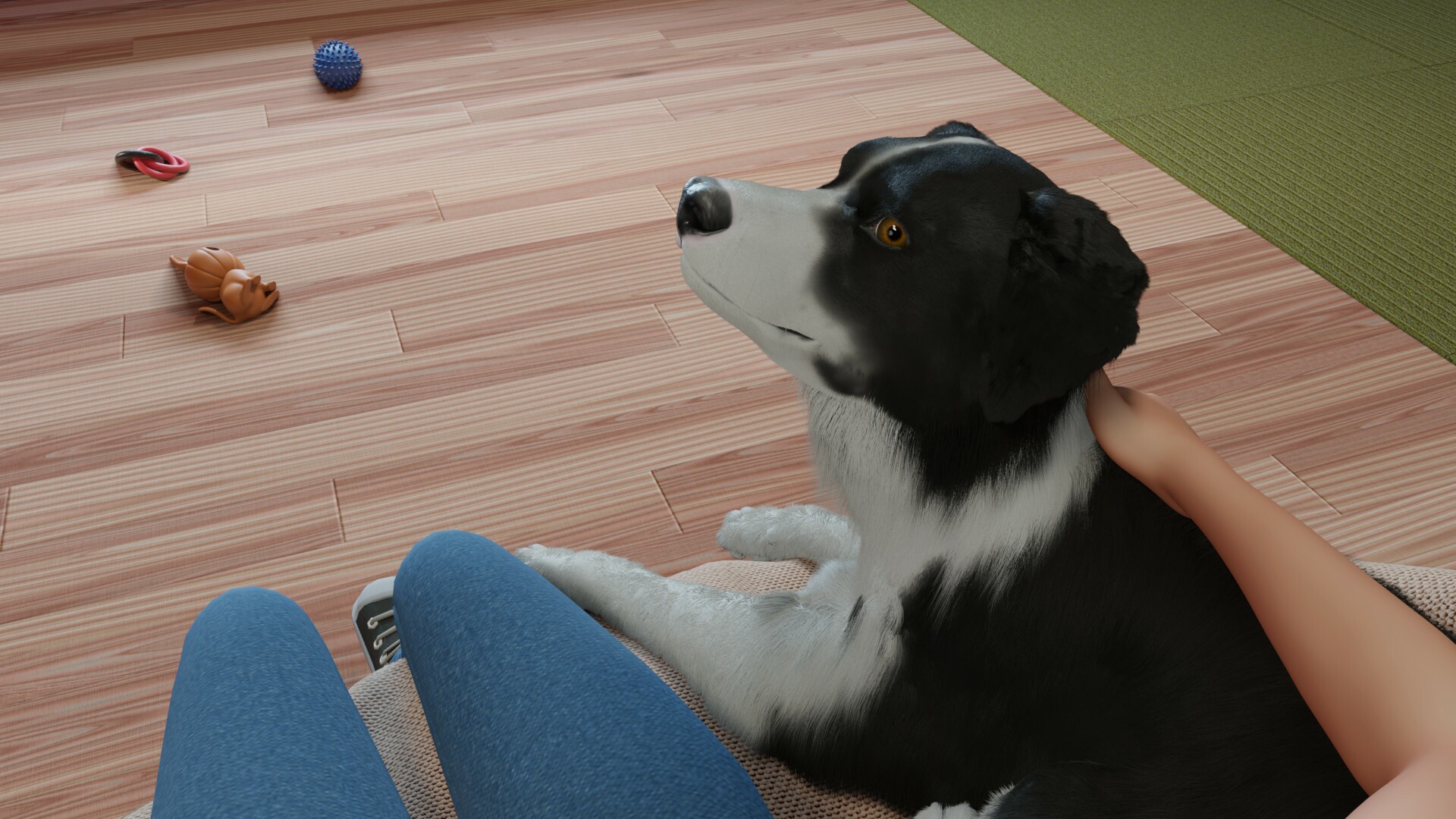 Dog Trainer