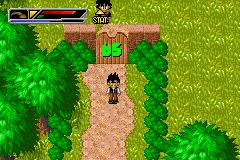 Dragon Ball Z - The Legacy of Goku II