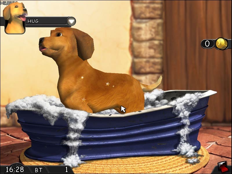 Paws & Claws - Best Friends - Dogs & Cats