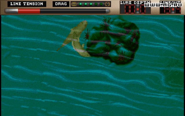 TNN Outdoors Bass Tournament '96