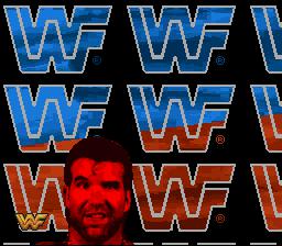 WWF RAW