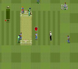 Super International Cricket