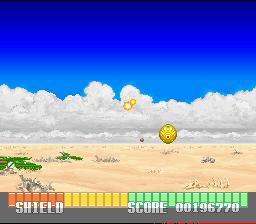 X Zone